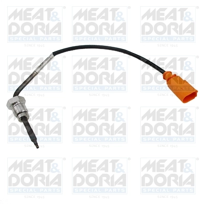 Sensor, exhaust gas temperature